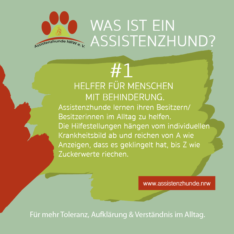 Auf grünem Hintergrund

Links  oben das Logo vom Assistenzhunde NRW e. V. Verein daneben der Text in weißer Schrift:
Was ist ein Assistenzhund?
#1 Helfer für Menschen mit Behinderung.
Assistenzhunde lernen ihren Besitzern/Besitzerinnen im Alltag zu helfen.
Die Hilfestellungen hängen vom individuellen Krankheitsbild ab und reichen von A wie Anzeigen, dass es geklingelt hat, bis Z wie Zuckerwerte riechen.
Rechts unter dem Text ist ein roter Balken, auf diesem steht in weißer Schrift: www.assistenzhunde.nrw

Darunter mittig: Für mehr Toleranz, Aufklärung & Verständnis im Alltag.